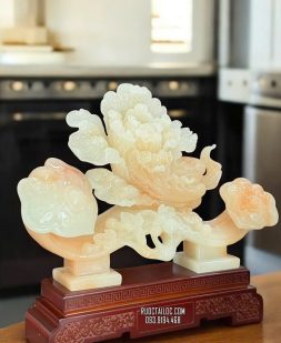 bắp cải như ý phong thủy màu cẩm thạch đẹp