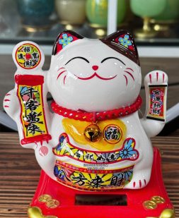Mèo Thần Tài Năng Lượng cầm thẻ bài