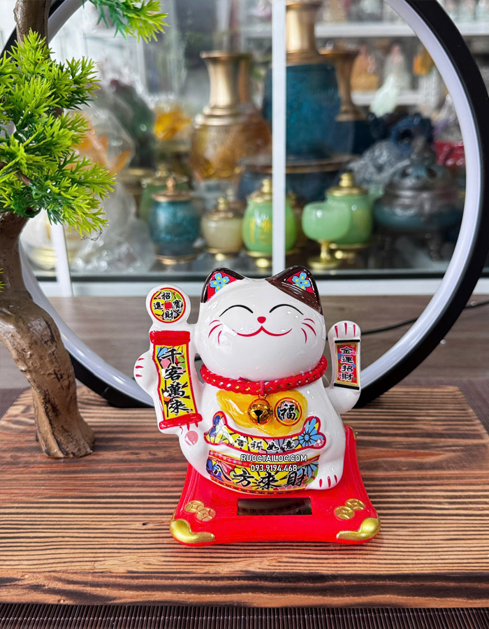 Mèo Thần Tài Năng Lượng cầm thẻ bài